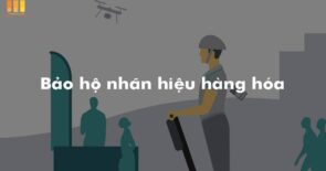 Dịch vụ đăng ký nhãn hiệu giá rẻ trọn gói