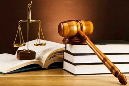 Luật sở hữu trí tuệ hợp nhất hiện hành