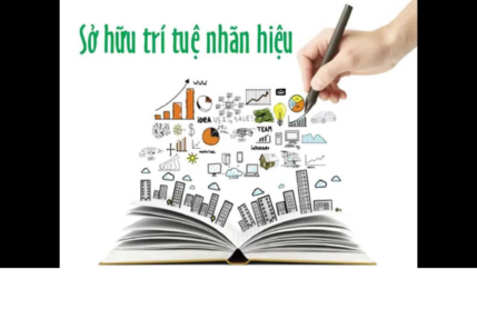Quá trình đăng ký sở hữu trí tuệ nhãn hiệu