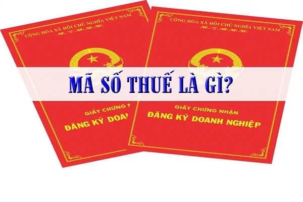 Đăng ký mã số thuế doanh nghiệp.