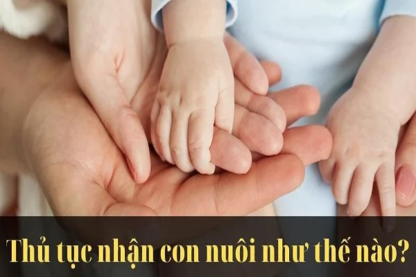 Tìm hiểu thủ tục nhận con nuôi trong nước Tìm hiểu thủ tục nhận con nuôi trong nước.