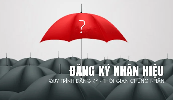 Quy trình đăng ký nhãn hiệu thực hiện như thế nào?