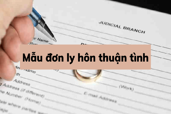 Nội dung đơn ly hôn thuận tình Nội dung đơn ly hôn thuận tình.