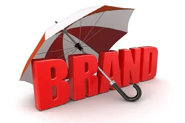 Cách bảo vệ logo bản quyền.