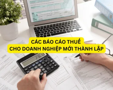Các báo cáo thuế cho doanh nghiệp mới thành lập.