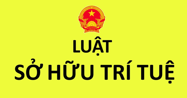 Tìm hiểu Luật sở hữu trí tuệ hợp nhất năm 2024 Tìm hiểu Luật sở hữu trí tuệ