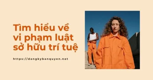 Tìm hiểu về vi phạm luật sở hữu trí tuệ