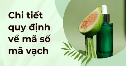 Chi tiết quy định về mã số mã vạch