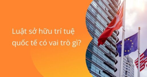Luật sở hữu trí tuệ quốc tế có vai trò gì.