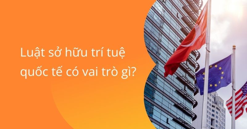 Luật sở hữu trí tuệ quốc tế có vai trò gì.